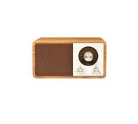 Halterrego Enceinte Bluetooth avec Charge Induction Qi 15W. BT V5.0, RMS 10W, FM, Aux in, lectuer de Carte Micro SD, Batterie Rechargeable de 2200mAh.