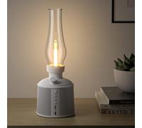 Enceinte Bluetooth Lumineuse, 2700K Lampe Bluetooth Enceinte Avec Gradation De Infinie, Sortie Audio 10W, Autonomie Jusqu'À 24 Heures, Ipx4 Adapté À Une Utilisation Intérieure Et Extérieure[Z464]