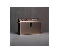 Enceinte Bluetooth MONDO Speaker Large 96W Auracast Cuivre