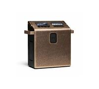 Enceinte Bluetooth MONDO Speaker Medium 60W Auracast Cuivre