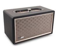 Enceinte bluetooth rétro avec entrée aux et batterie intégrée - caliber hfg311bt G
