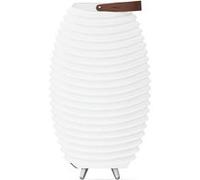 Enceinte bluetooth sans fil avec lampe led et seau à glace intégrés 72cm Kooduu synergy 65s 2.0 G