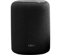 WiiM Enceinte sans fil Sound Lite 100 W Hi‑Res Wi‑Fi 6E Bluetooth 5.3 Noir