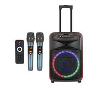 Enceinte de Karaoké Portable 12 Pouces Bluetooth avec 2 Micros sans Fil RGB YONIS