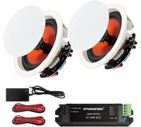 Enceinte de plafond Bluetooth de 6,5"", puissance maximale de 300 W pour l'intérieur comme la cuisine, le salon, la salle d'étude, la cave, le home cinéma et la terrasse couverte
