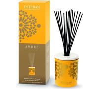 Enceinte décorative. Ambre&Reserva 100ml - Esteban Paris