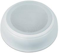 Enceinte ELA de plafond Omnitronic DAL-2 20 W blanc