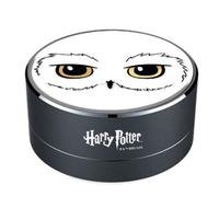 Enceinte Harry Potter Edwige