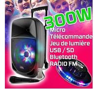 Enceinte Karaoké portable - PARTY SOUND - PARTY-8LED - Boomer 8"" - 300W - LEDs RVB