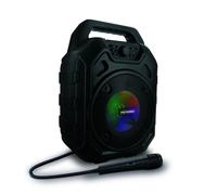 Enceinte Mini High Power avec micro - noire