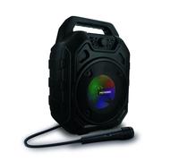 Enceinte Mini High Power avec micro - noire