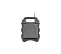 Enceinte mobile 12.7 cm 5 pouces TSP-203 à batterie, secteur 1 pc(s)