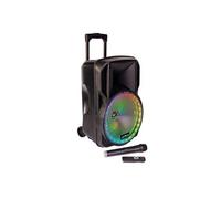 Enceinte portable 15"/38 cm - PARTY 800W - USB/BLUETOOTH/FM/MICRO VHF - PARTY-15LED, Câble PC ORDI - Soirée Fête Anniversaire
