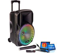 Enceinte portable 15"/38 cm - PARTY 800W - USB/BLUETOOTH/FM/MICRO VHF - PARTY-15LED, Câble PC ORDI - Soirée Fête Anniversaire