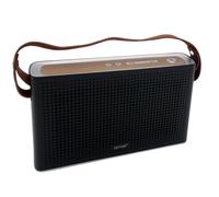 Denver BTS-200 argenté MK2 Haut-parleur Bluetooth au design rétro avec 2 x 5W support en cuir