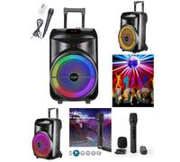 Enceinte Portable Karaoke - MSD - 700W - Bluetooth 5.0 - LED RGB - Micro sans fil HQ