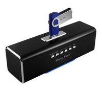 Enceinte portable MUSICMAN MA SOUNDSTATION avec grille de protection - Noir