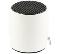 Enceinte Portable - TECHNAXX - MUSICMAN 4472 - Blanc - Sans fil - 1 an de garantie