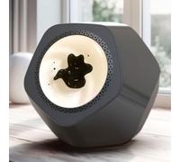 Enceinte rythmique Bluetooth portable avec lumière - Mode fluide magnétique en 2 étapes, parfait pour la maison, le bureau et la décoration de fête