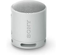Enceinte sans fil bluetooth Ultra portable Sony SRS-XB100 Gris Gris Perle A