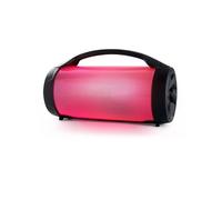 Enceinte sans fil BIGBEN PARTYBTPRO - Bluetooth - USB - Micro SD - AUX-IN - 38cm - 75W - Avec micro filaire