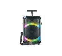 Enceinte sono autonome auralis 2 micros bluetooth USB télécommande, karaoké , LED