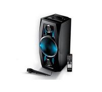 PM Enceinte Sono Hifi mobile BASS 300W – Batterie LED USB/Bluetooth/SD/FM Micro