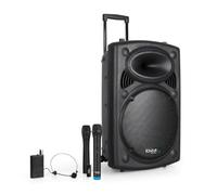 Enceinte Sono Ibiza DJ Portable 15" 800W Autonome Batterie Bluetooth Karaoké 3 Micros VHF Main Tête