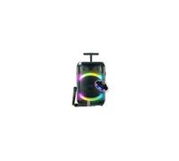 Enceinte sono KARAOKE DJ autonome 300W Auralis 2 micros Bluetooth USB télécommande, karaoké , LED, Jeu de lumière OVNI