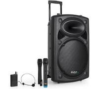 Enceinte Sono Ibiza DJ Portable 15" 800W Autonome Batterie Bluetooth Karaoké 3 Micros VHF Main Tête