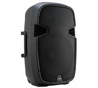 McGrey Enceinte passive P215 MP 2 voies 15 pouces 1 pouce 120 W RMS/800 W crête 8 Ω Noire