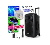 Enceinte sur batterie 700W Bluetooth USB + Micros IBIZA PORT12VHF-BT + Derby Kolor LytOr + Effet OVNI + Câble PC