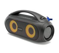 Ledwood Enceinte sur Batterie Bluetooth XTREM250, TWS avec LED Lumières Pulsées- Super Bass- AUX USB Radio FM+Clé USB 32G
