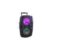 Enceinte trolley lumineuse Bluetooth KARAOKE 1000W