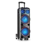 Enceintes sono Ngs Wild Dub 1