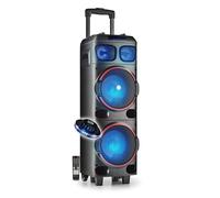 Enceintes sono NGS WILDDUB1