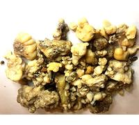 Encens Gomme d'Ammoniaque Dorema Ammoniacum OUCHAK 50g