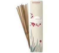 Encens indien esprit de the - Esteban - Marron - naturellement G