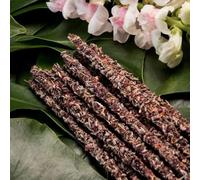 Encens LAVANDE & ROSE, Inspiration - Sagrada Madre