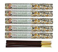 Encens Parfum Copal/Sauge Blanche Lot de 100 bâtons Marque HEM