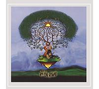 Enchanted Ape - Off The Ground