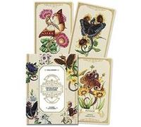 Enchanted Blossoms Empowerment Oracle by Carla Morrow Carla Morrow (Auteur)