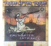 Enchanted Entrance
