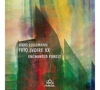 Enchanted Forest