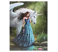 Enchanted Pool -Gothic Portrait Of Fairy Princess with Unicorn by Pond / Lake - Fantastic Design by Artist Anne Stokes - Canvas Picture on Frame Wall Plaque / Wall Art by ANNE STOKES