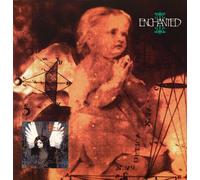 Enchanted [Vinyl LP]