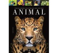 Enciclopedia Ilustrada Del Mundo Animal - [Livre en VO] Penalva Comendador, Nuria (Auteur)