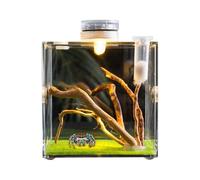 Enclos Araignée Sauteuse - Acrylique Lumière LED 15x15x20cm | Cage Reptile Terrarium pour Habitat Observation Reproduction Soins Animaux Éducation Affichage Design Pro