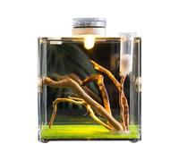 Enclos Araignée Sauteuse - Acrylique Lumière LED 15x15x20cm | Cage Reptile Terrarium pour Habitat Observation Reproduction Soins Animaux Éducation Affichage Design Pro