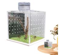 Enclos d'araignée qui saute, cage pour araignée, cage de réservoir transparente pour grenouille, boîte d'élevage avec humidificateur léger, bac pour reptiles pour petits reptiles vivant au lever du